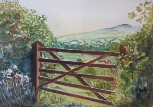 Gate onto Dartmoor