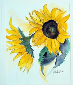 Sunflowers